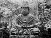 Buddha, Koyasan Cemetery, Mt Koya