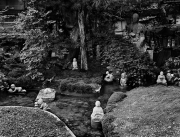 Monastery Garden, Mt Koya